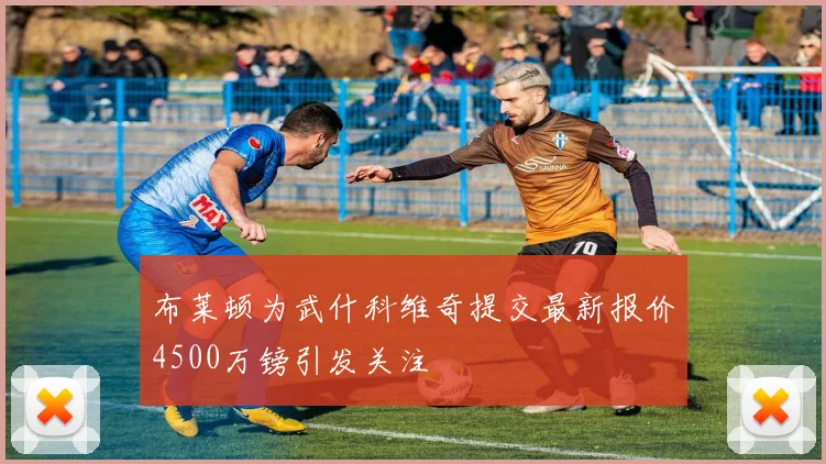 布莱顿为武什科维奇提交最新报价4500万镑引发关注