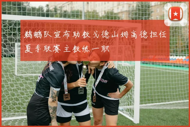 鹈鹕队宣布助教戈德山姆高德担任夏季联赛主教练一职