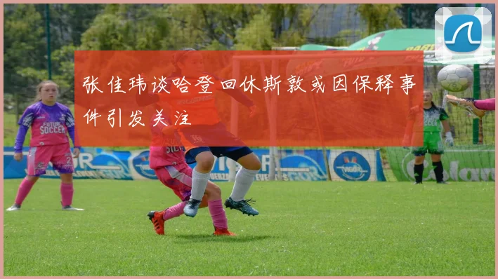 张佳玮谈哈登回休斯敦或因保释事件引发关注